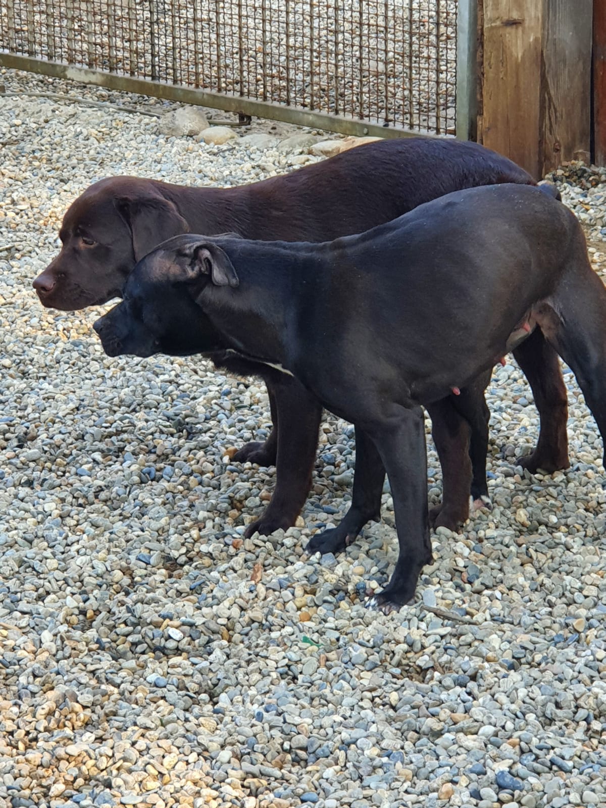 WhatsApp Image 2021-09-16 at 15.10.24