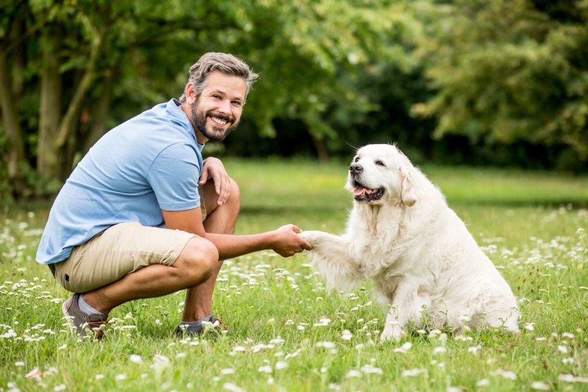 corso di educazione cinofila